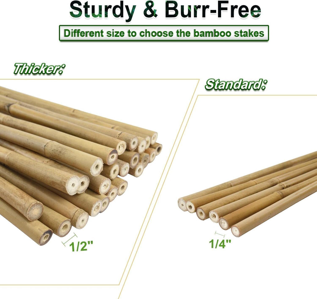 Jollybower 1/2" D 4 Feet Bamboo Stakes 50 Pack, Thicker Heavy-Duty Plant Stakes, Natural Garden Stakes for Bean