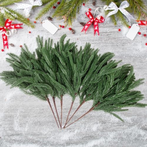 Rowfad 24 Pcs Artificial Norfolk Pine Branches Faux Christmas Stems (24)