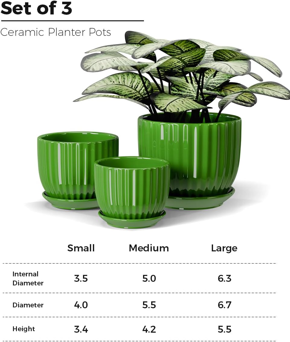 Green Plant Pots,Ceramic Planters with Drainage Holes & Saucers Set of 3 | Planters for Indoor Plants | Small Succulent