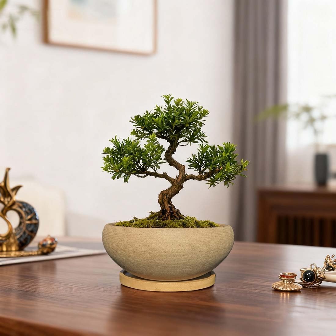 MUZHI 2 Pack 8+6 Inch Plant Pot - Natural Unglazed Ceramic Bonsai Pot with Bamboo Saucer, Large Vintage Clay Shallow