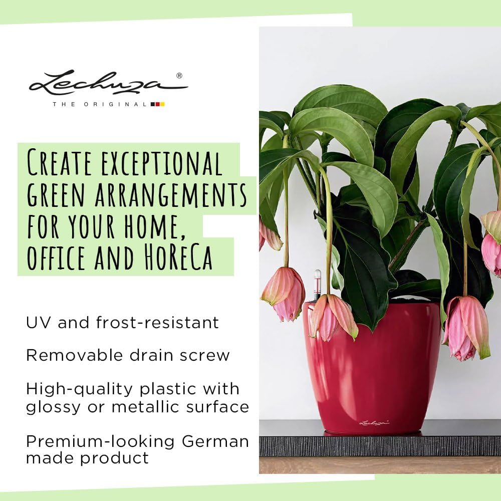 LECHUZA Self Watering Pots for Indoor Plants, 1 Pack 8 Inch (Glossy White) | Classico 21 LS, D8.3 H7.9 Inch, for
