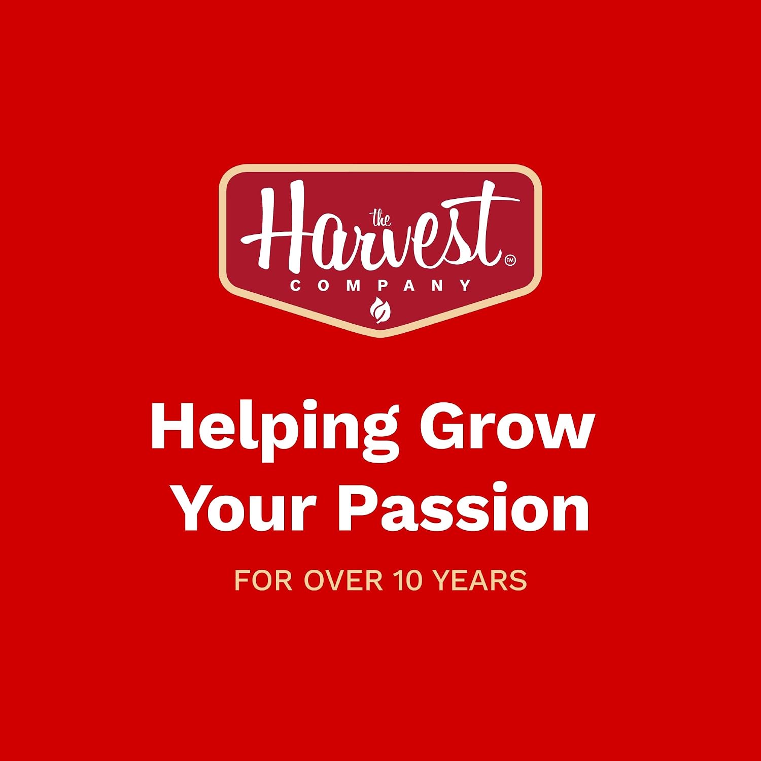 The Harvest Company Pizza Garden Seed Collection – Open-Pollinated Seeds for Indoor & Outdoor Gardening, Tomatoes