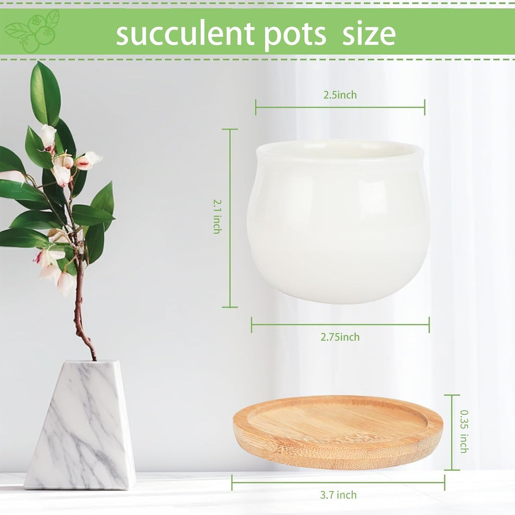 SHECIPIN Succulent Pots, White Mini 2.5 inch Ceramic Flower Planter Pot with Bamboo Tray, Pack of 12 - Plants Not