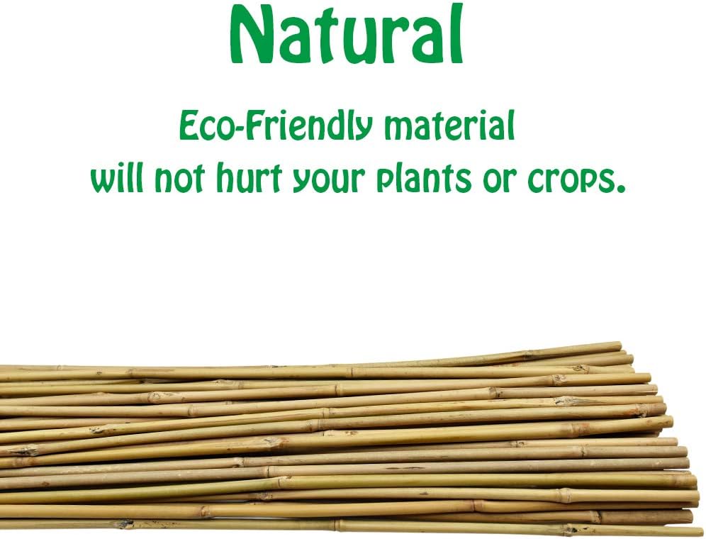 Natural Bamboo Stakes 6 Feet, Eco-Friendly Garden Stakes, Plant Stakes Supports Climbing for Tomatoes, Trees, Beans, 20
