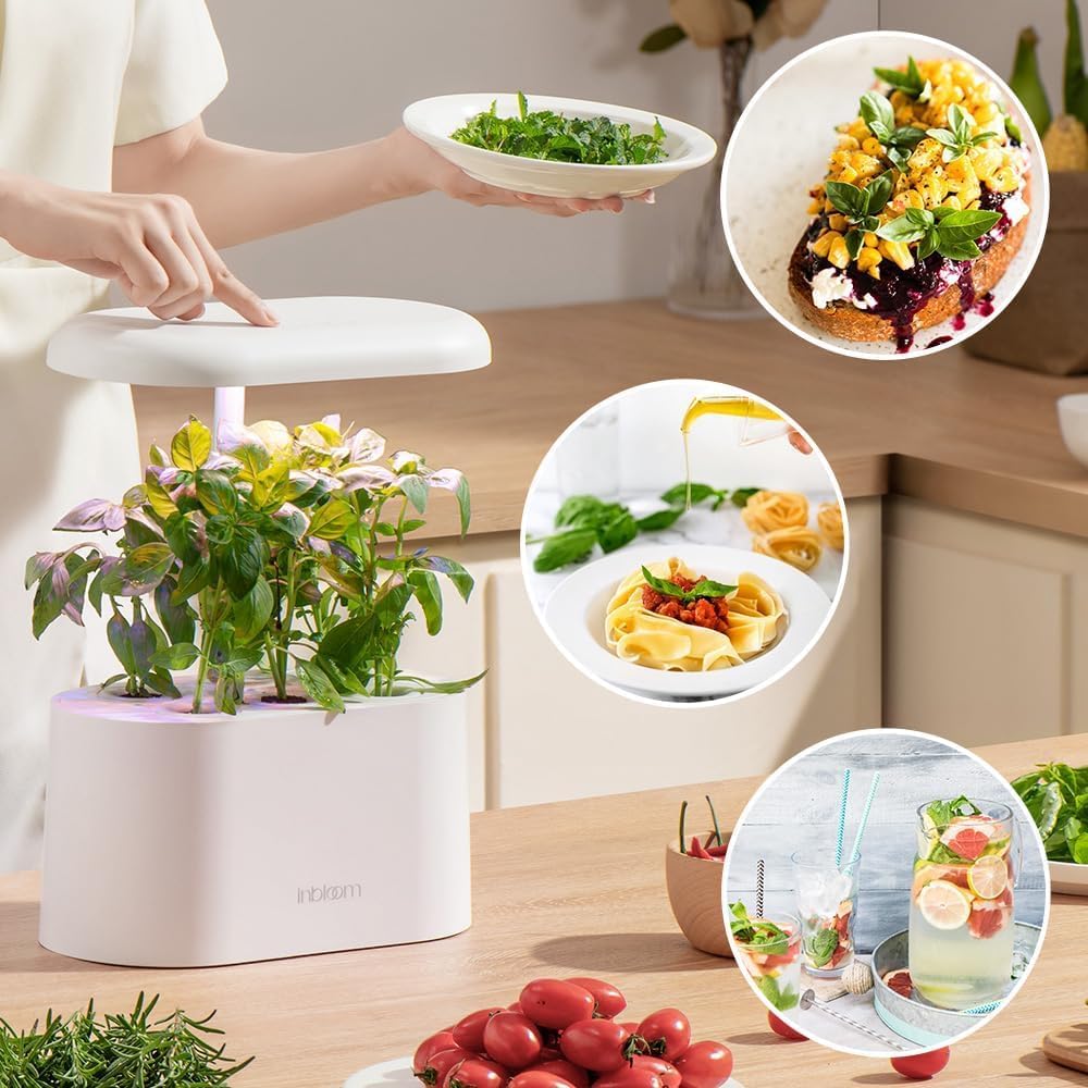 inbloom 12-Pod Gourmet Herb Basil Seed Pod Kit for AeroGarden, Ahopegarden Hydroponic Garden, Basil, Mint, Cilantro