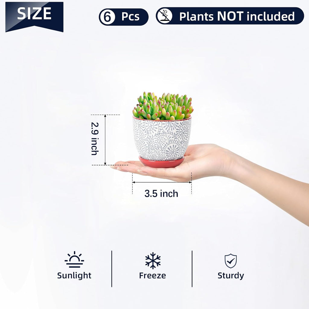 Selamica Ceramic Succulent Pots, 3.5 Inch Small Plant Pots for Indoor Plants Cactus Herbs, Succulent Planters with