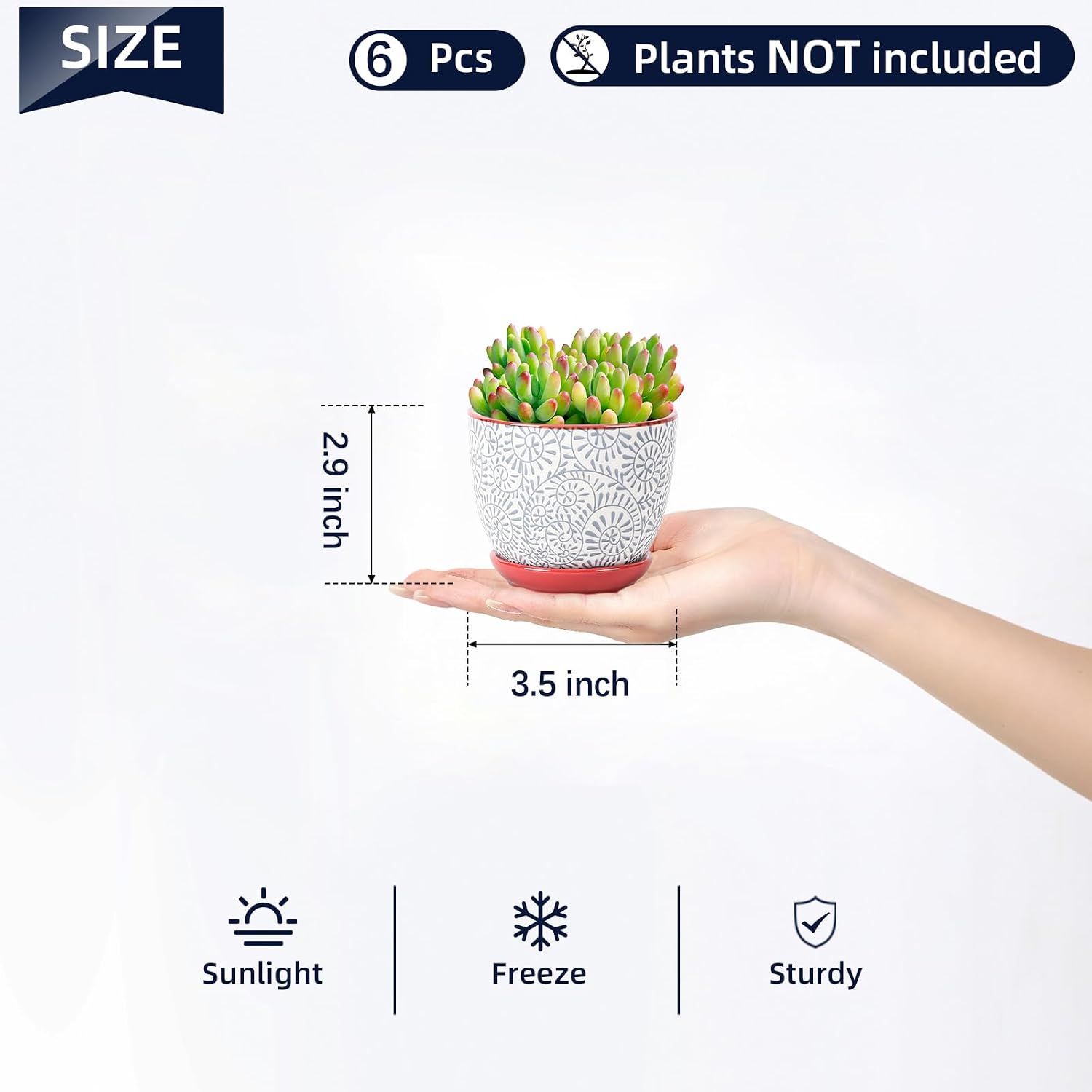 Selamica Ceramic Succulent Pots, 3.5 Inch Small Plant Pots for Indoor Plants Cactus Herbs, Succulent Planters with