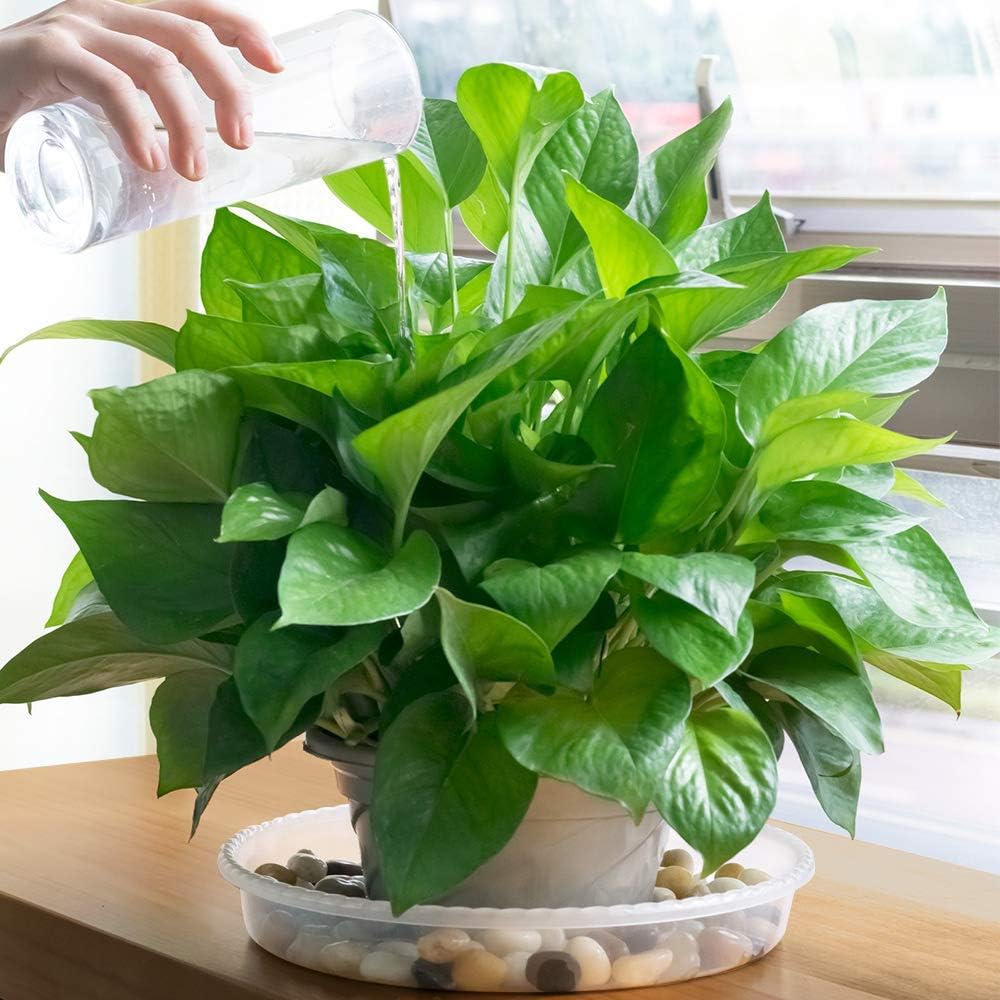 MUDEELA 18 Pack of 12 inch & 10 inch & 8 inch Plant Saucers, Durable Plant Trays for Indoors Outdoors, Clear Plastic
