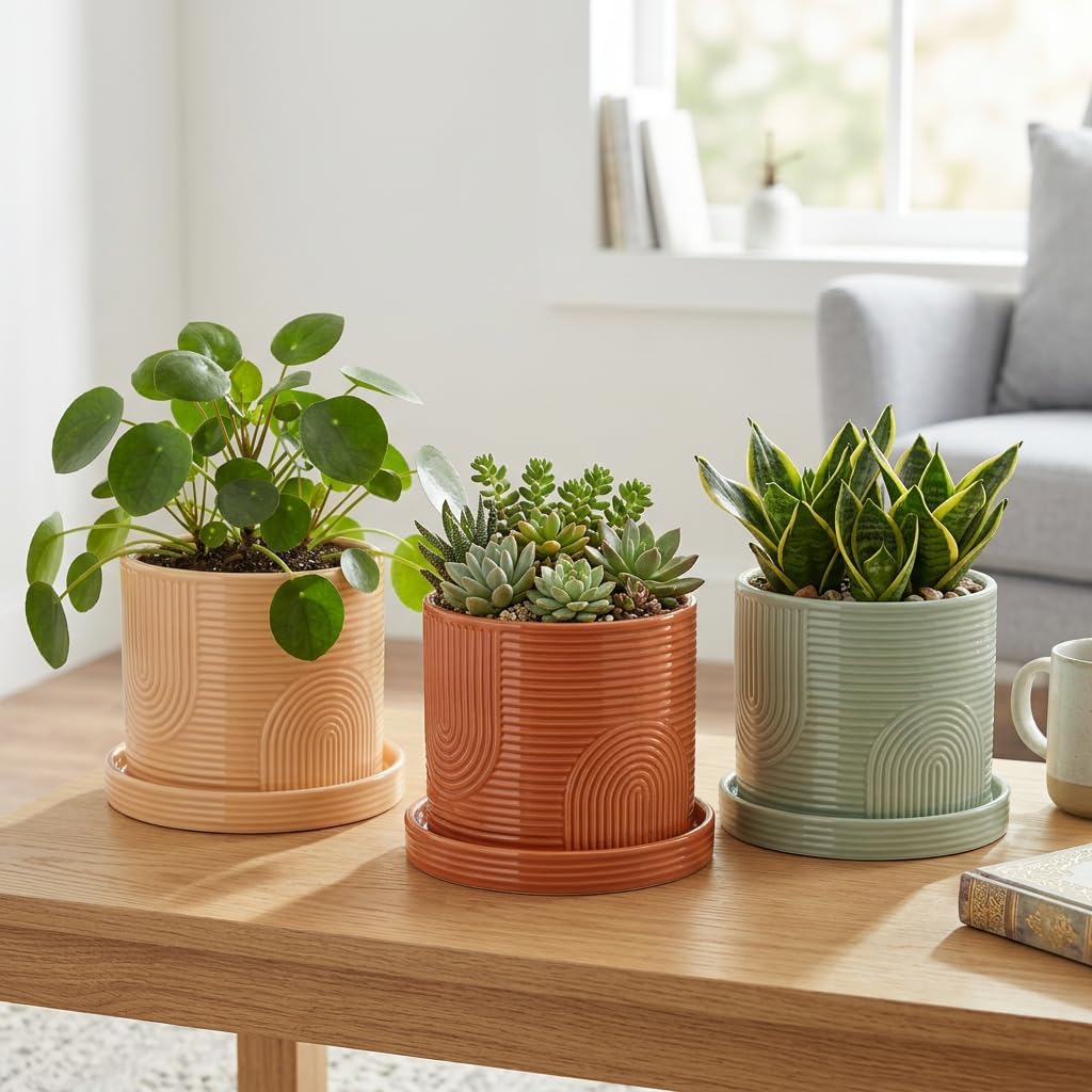6 Inch Ceramic Plant Pot with Drainage Hole & Tray – Terracotta | Complete Planting Kit: Drainage Hole, Matching Tray &