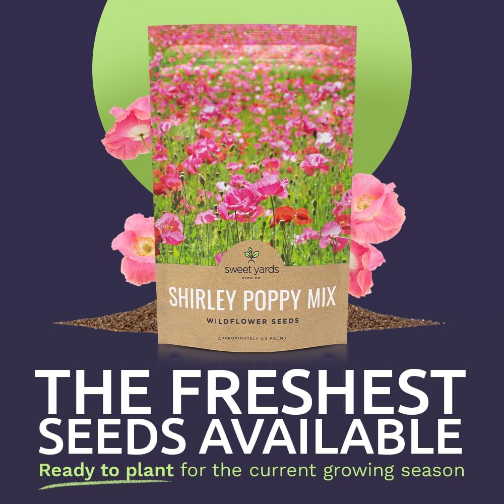 Shirley Poppy Seeds – Mixed Colors – Bulk Quarter Pound Bag – Over 800,000 Open Pollinated Non-GMO Wildflower Seeds –