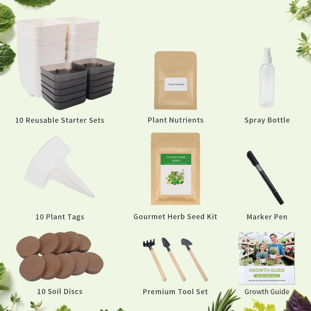 10-Set Indoor Herb Garden Starter Kit, 7 Seeds Growing into Basil, Parsley, Thyme, Mint, Cilantro, Dill, Oregano