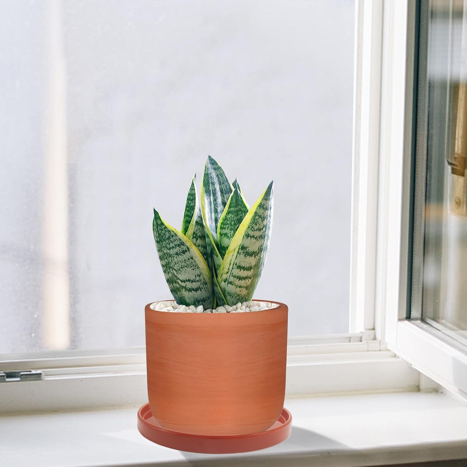 Yukfona Ceramic Plant Saucer Tray 2 Pcs 6.4 Inch Red Terracotta, 6.4"OD x6.02"ID x0.9"Deep| Fits flower pots Bottom≤