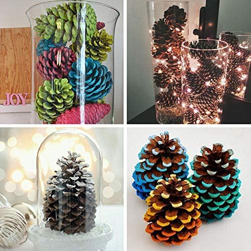 BESTTOYHOME 15 PCS Natural Pinecones Medium Pine Cones Ornaments Real Preserved Pine Cones - Dried -3" - 4" Tall for Guest Seating Place Card Holders or Wedding Guest Favors Christmas Winter Xmas