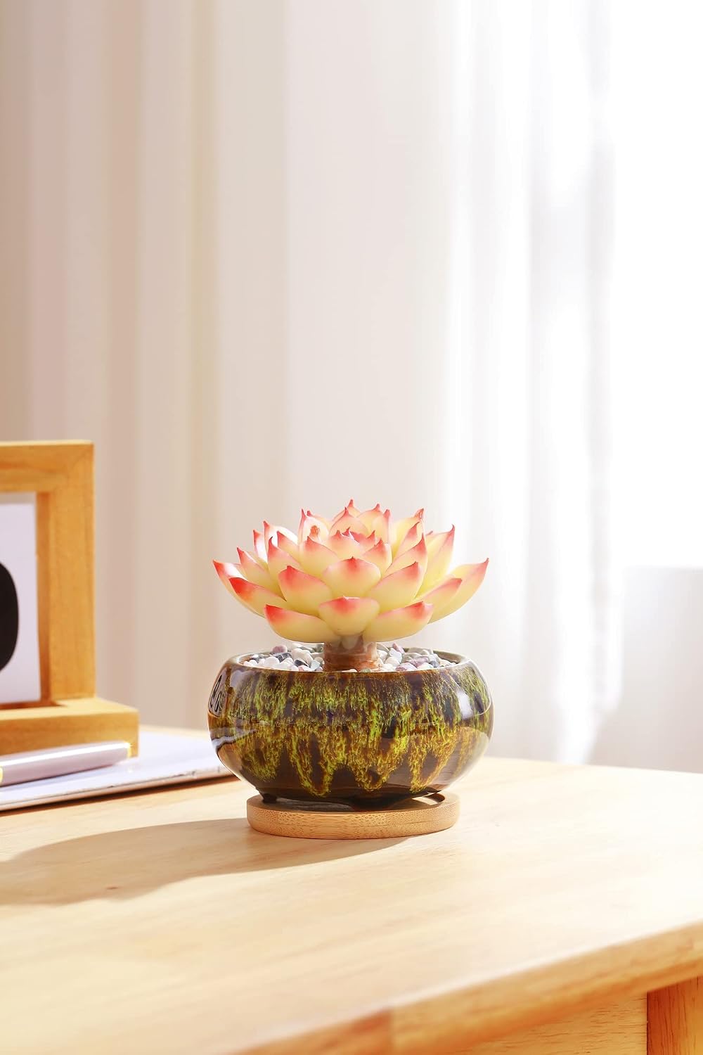Cute Ceramic Succulent Garden Pots, Planter with Drainage and Attached Saucer, Set of 5 -Plants Not Included (Vivid