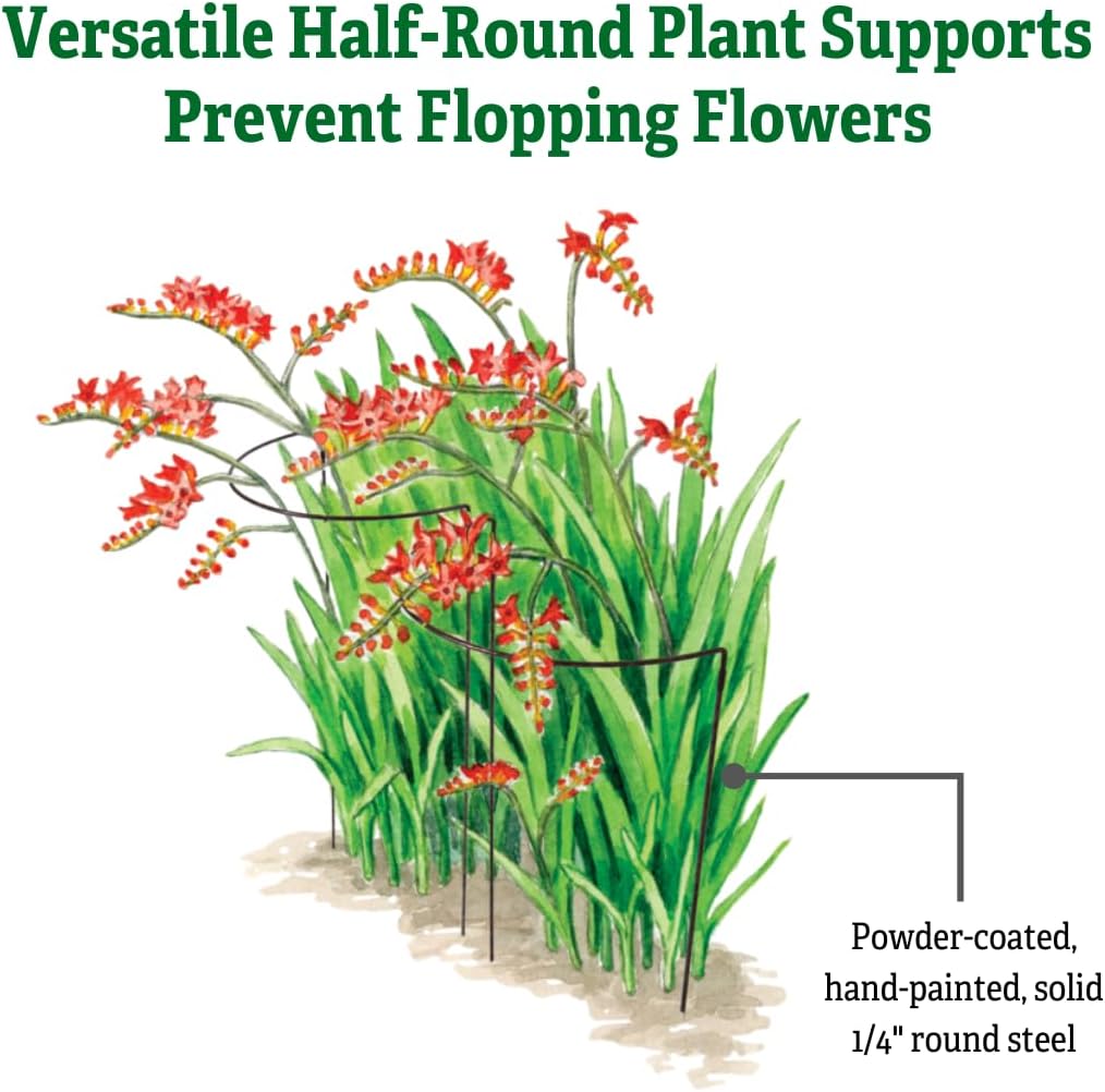 Gardener's Supply Company Jardin Half Round Plant Supports -18" x 35" | Sturdy Powder Coated Metal Outdoor Garden Plant
