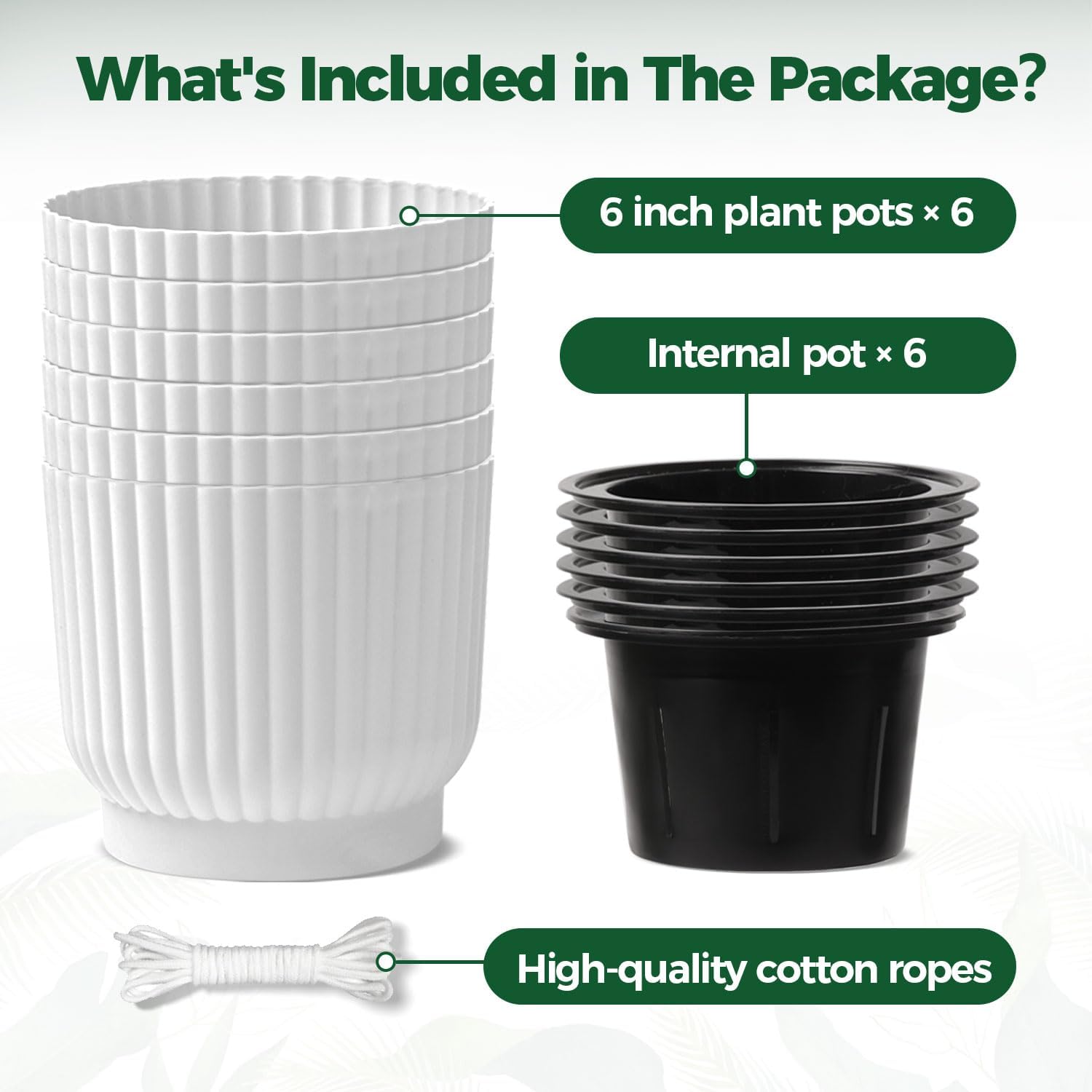 T4U Self Watering Pots for Indoor Plants, 6 Inch 6 Pack Planter White | African violet pothos ferns, Herb garden