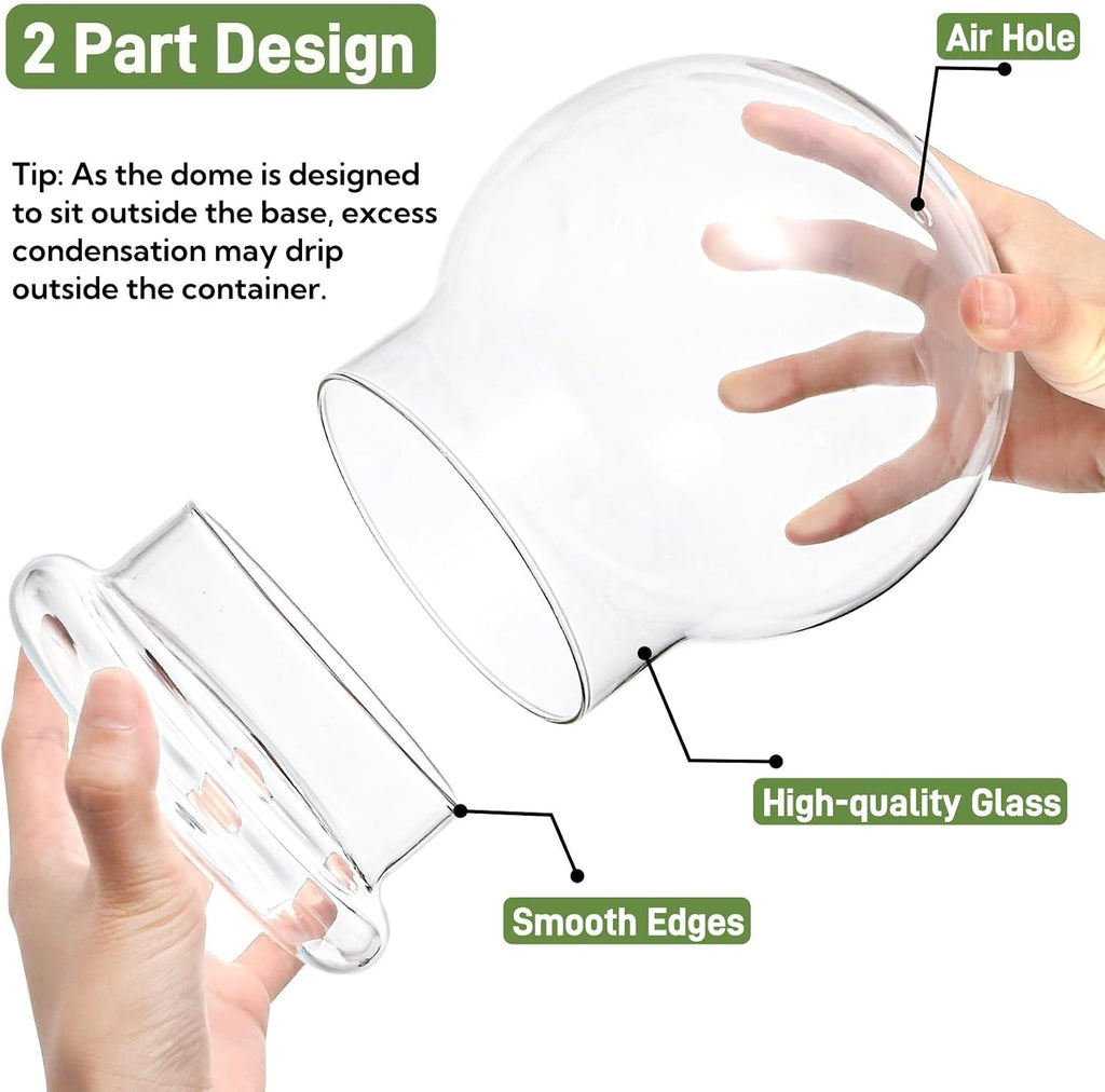 2 Pack Round Glass Cloche Domes with Air Hole and Base, 4.6 X 6.6 Inches Clear Terrarium Planter, Cloche Planters