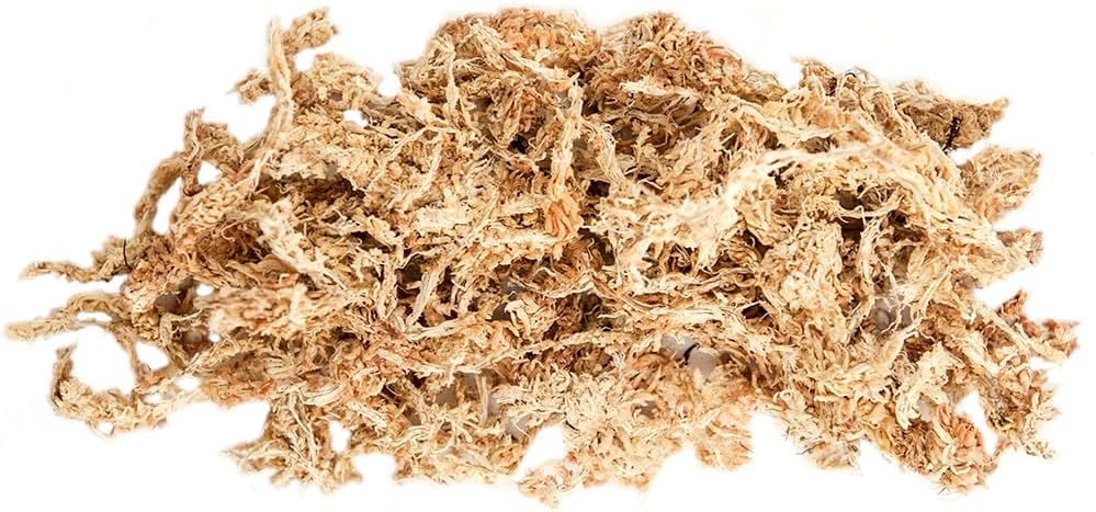 SuperMoss (22330) Orchid Sphagnum Moss Dried, Natural, 2.1lbs Small Bale