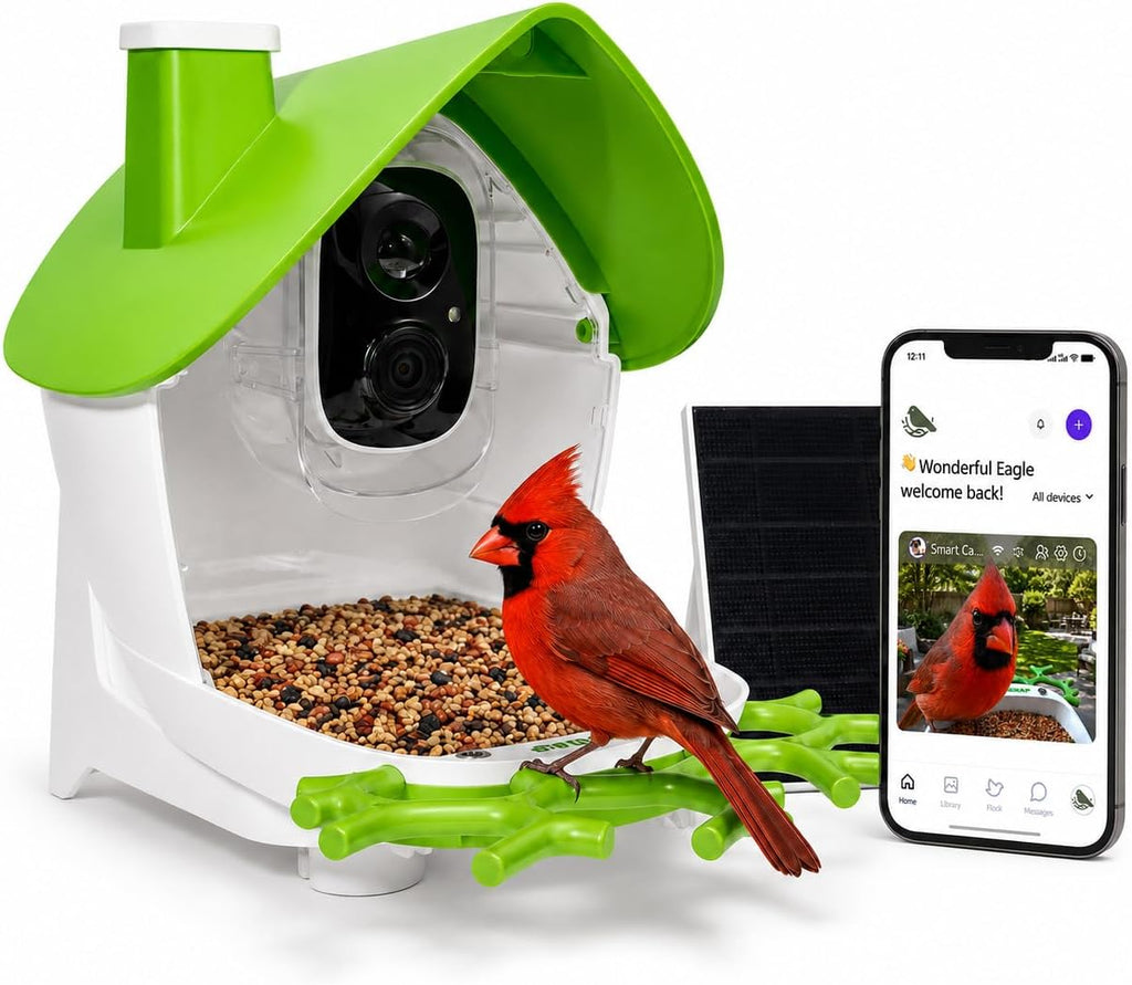 Gadjit Soda Bottle Bird Feeder – 3 Pack | Turn Soda Bottles into Eco-Friendly Wild Bird Seed Feeders | Fun DIY for Kids, Scouts, Clubs, Grandparents | Promotes Recycling & Reuse (Black)