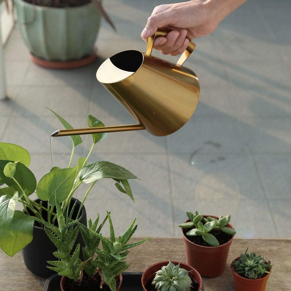 Watering Can for Indoor Plants, 13.5 Oz/400 Ml Indoor Plant Watering Can Stainless Steel Small Water Cans with Long