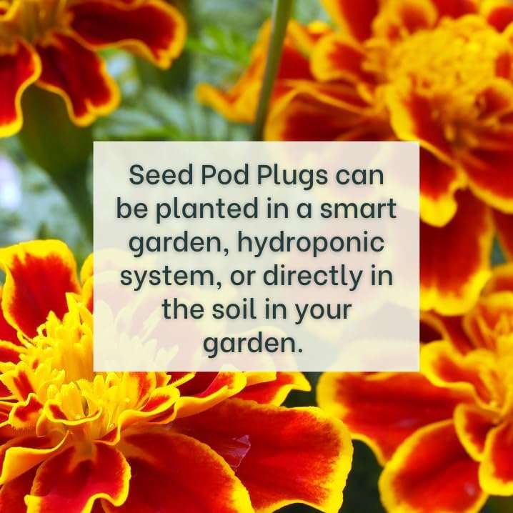 Gardeners' Choice Marigold Seed Pods with Plant Food, 10 Pods | Companion-planting flower; fits Click and Grow &