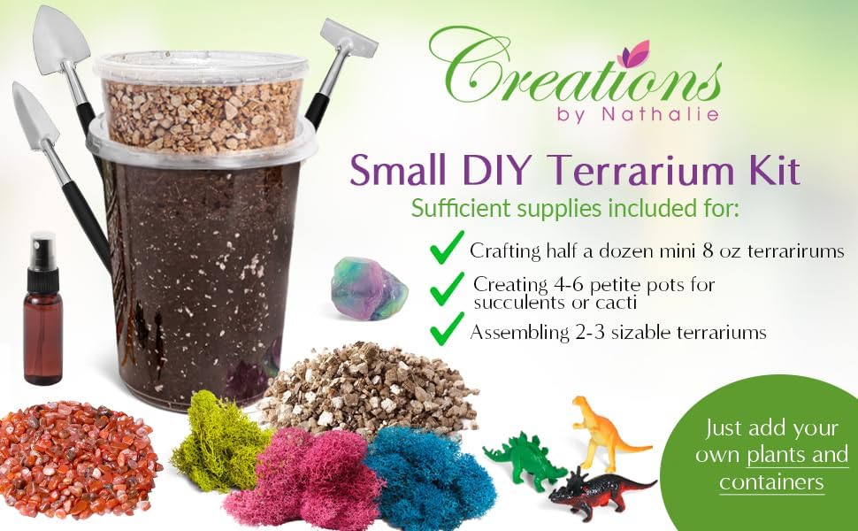 Creations by Nathalie – DIY Large Terrarium Starter Kit with Soil, Moss, Pebbles, Healing Crystal, Tools & Supplies –