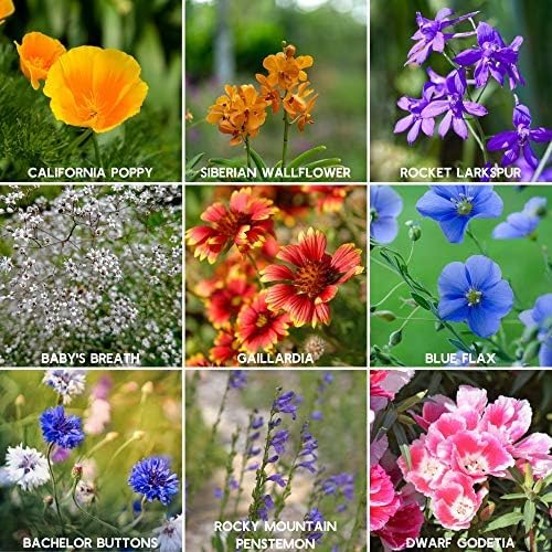 Mountain Valley Seed Co Rocky Mountain Wildflower Seeds Mix - 5 Lb Seed | Pouch - 22 Wildflower Seed Varieties