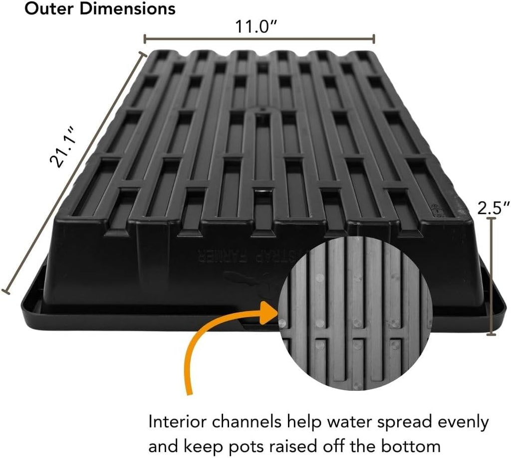 Bootstrap Farmer 1020 Trays No Holes (30 Pack) - 2.0mm Extra Strength Propagation Flats for Microgreens, Fodder, and