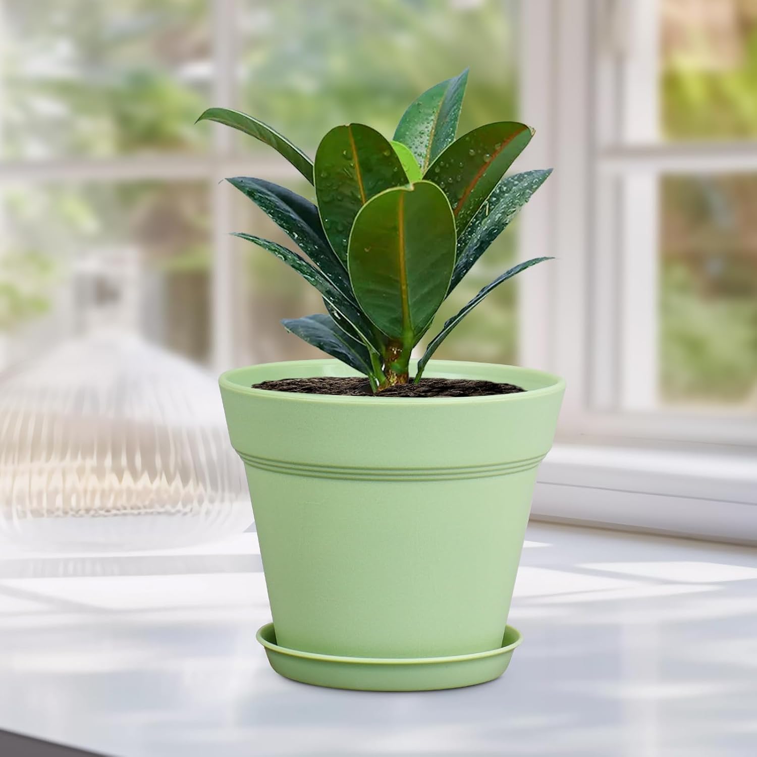Meowell 6 inch Plastic Nursery Pots, 16 Pack Plant Pots for Small Indoor Outdoor Plants, Flower Pots with Drainage