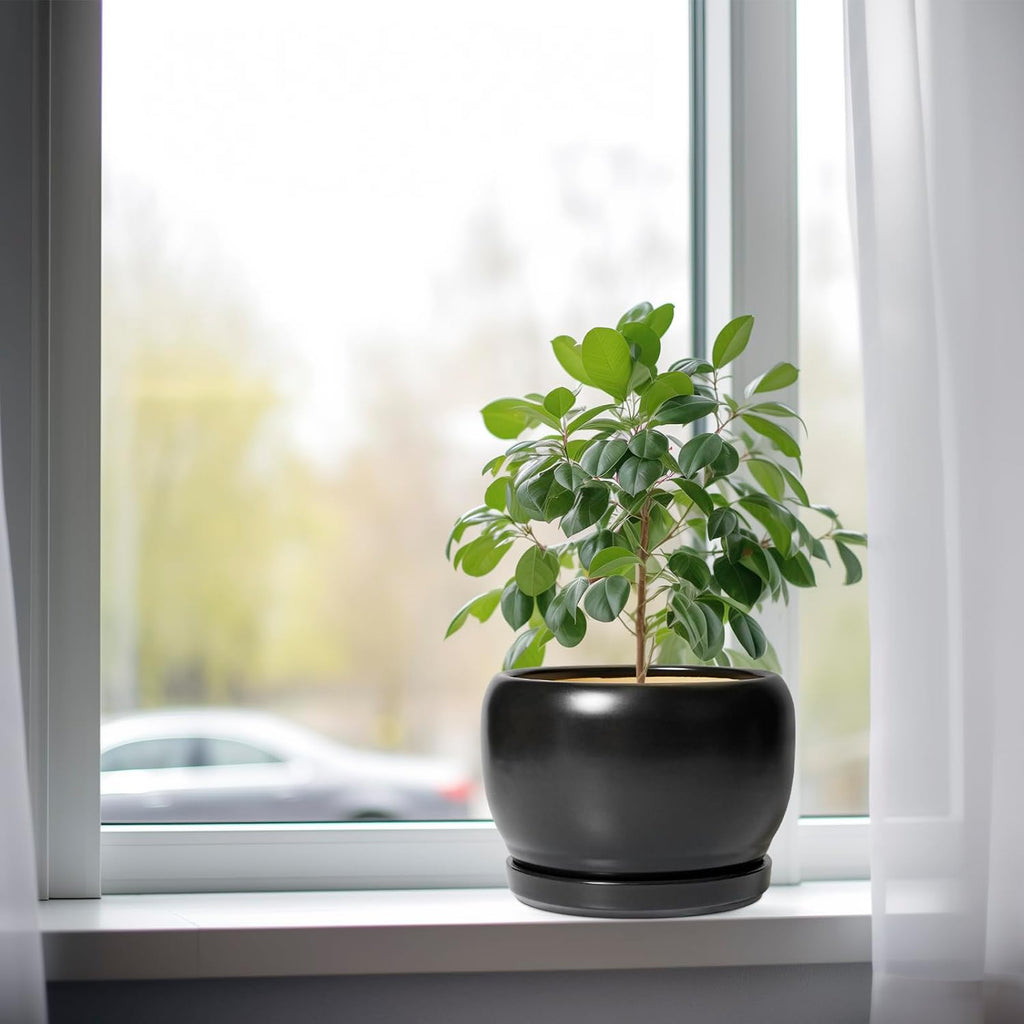SQOWL Ceramic Plant Pots - 8 Inch Planter Indoor, Round Flower Pot with Drainage Hole and Saucer, Modern Outdoor