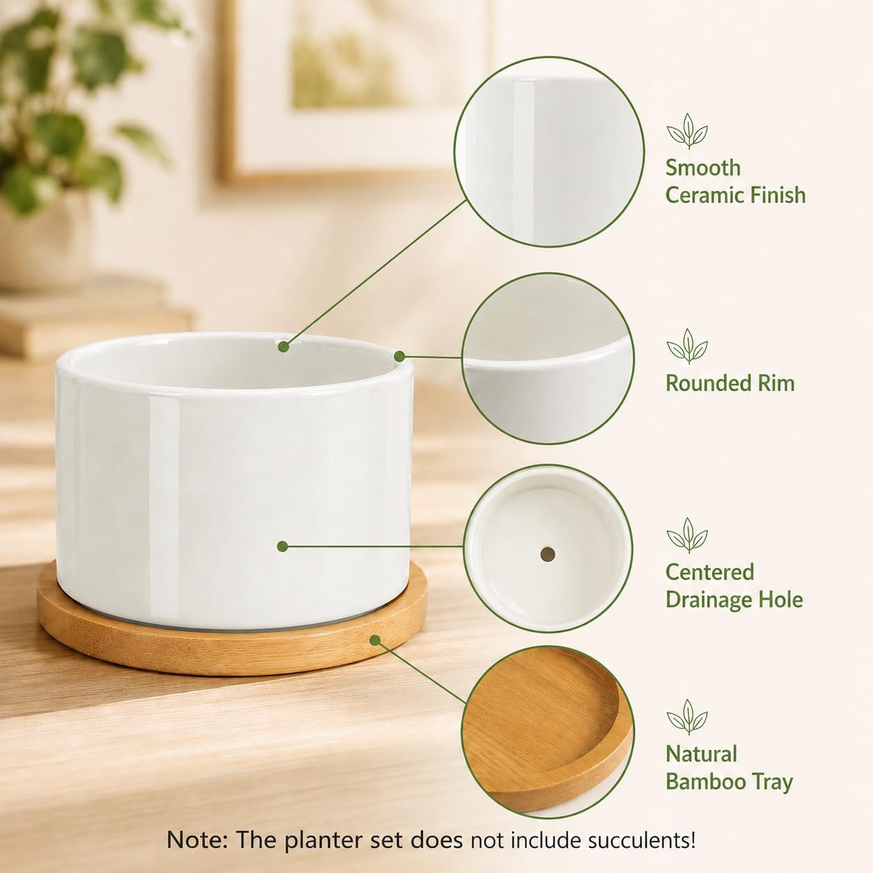 ZOUTOG Succulent Pots 3.1 Inch,Succulent Planters 12 Pack,Small Pots for Plants with Drainage and Tray,White Ceramic