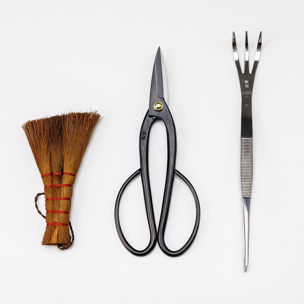 Wazakura Japanese Bonsai Garden 3PCS Tool Starter Kit, Made in Japan, Ashinaga Bonsai Scissors, Stainless Tweezers with