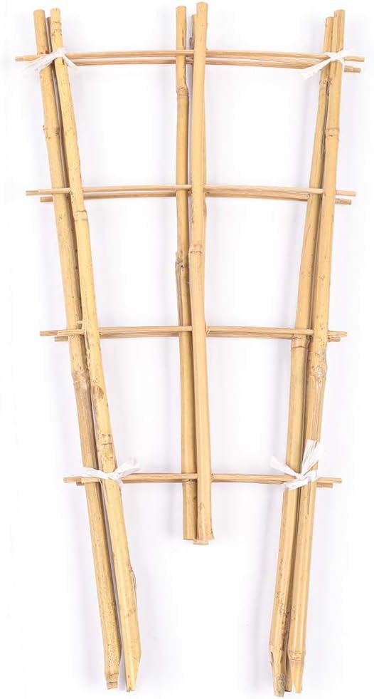 Cambaverd Bamboo Trellis, 24in Fan-Shaped Trellis for Potted Plants 3 Pack | Natural Small Plant Trellis for Climbing
