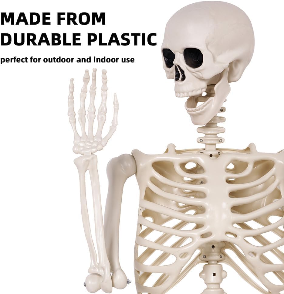 2 Pack 36" Halloween Skeleton - 3 ft Life Size Human Skeleton with Posable Joints - Spooky Scary Plastic Full Body Skeletons for Outdoor Halloween Decoration, Party Decor, Haunted House Props