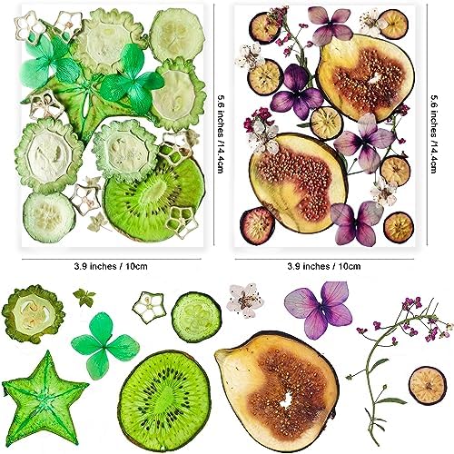 70PCS+ Nature Dried Pressed Fruits Flowers for Resin Mold, Real Dry Pressing Floral Set for DIY Jewelry Making Nail Card Scrapbook Art Craft Fruits Style