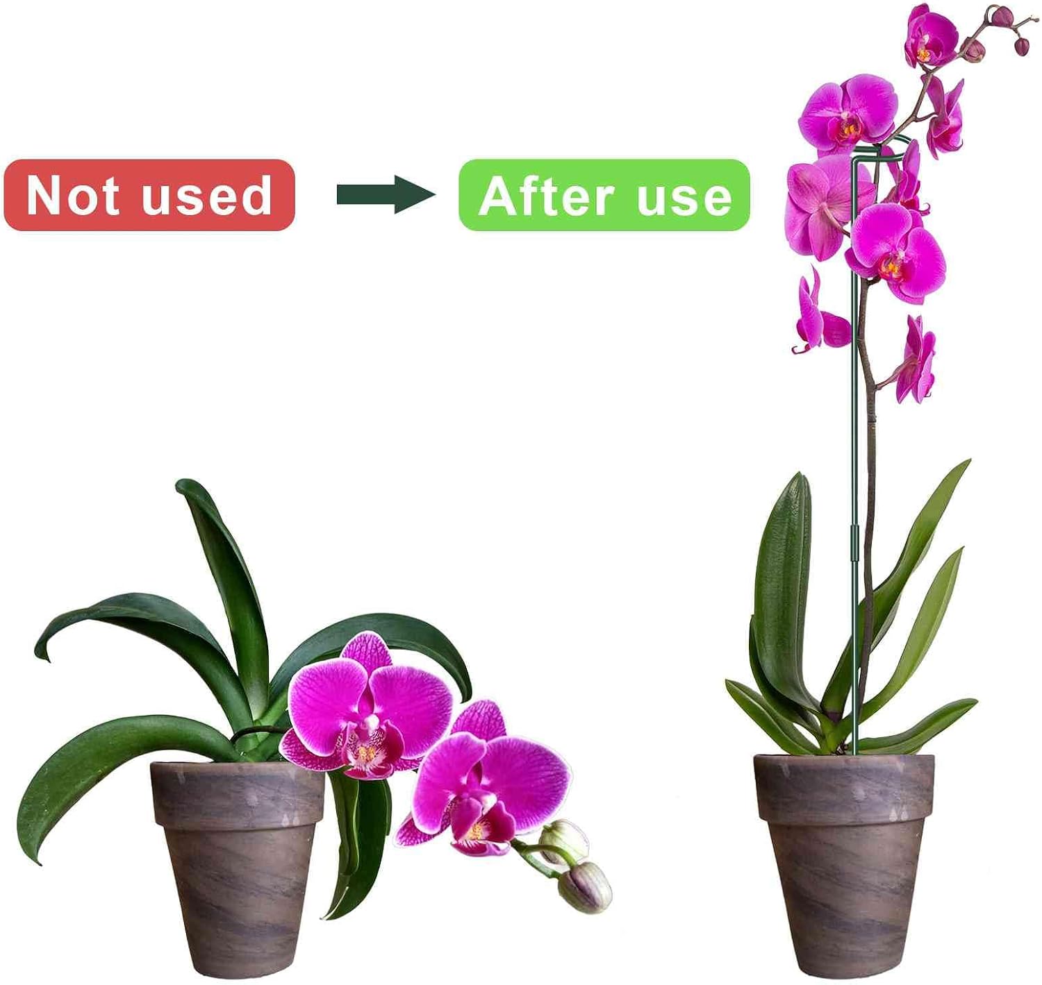 36 Inch Plant Sticks Support Tall Three Sizes (12 or 24 or 36 Inch), 8 Pcs 4.5mm Adjustable Outdoor and Indoor Plant