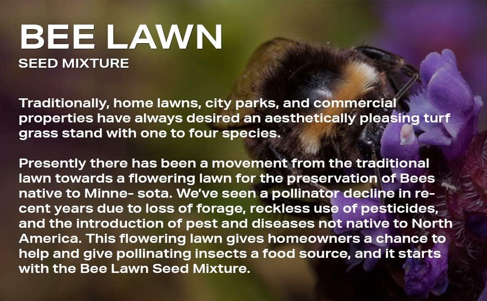 Native Bee Lawn - Native Wildflowers Mix, 25 lb