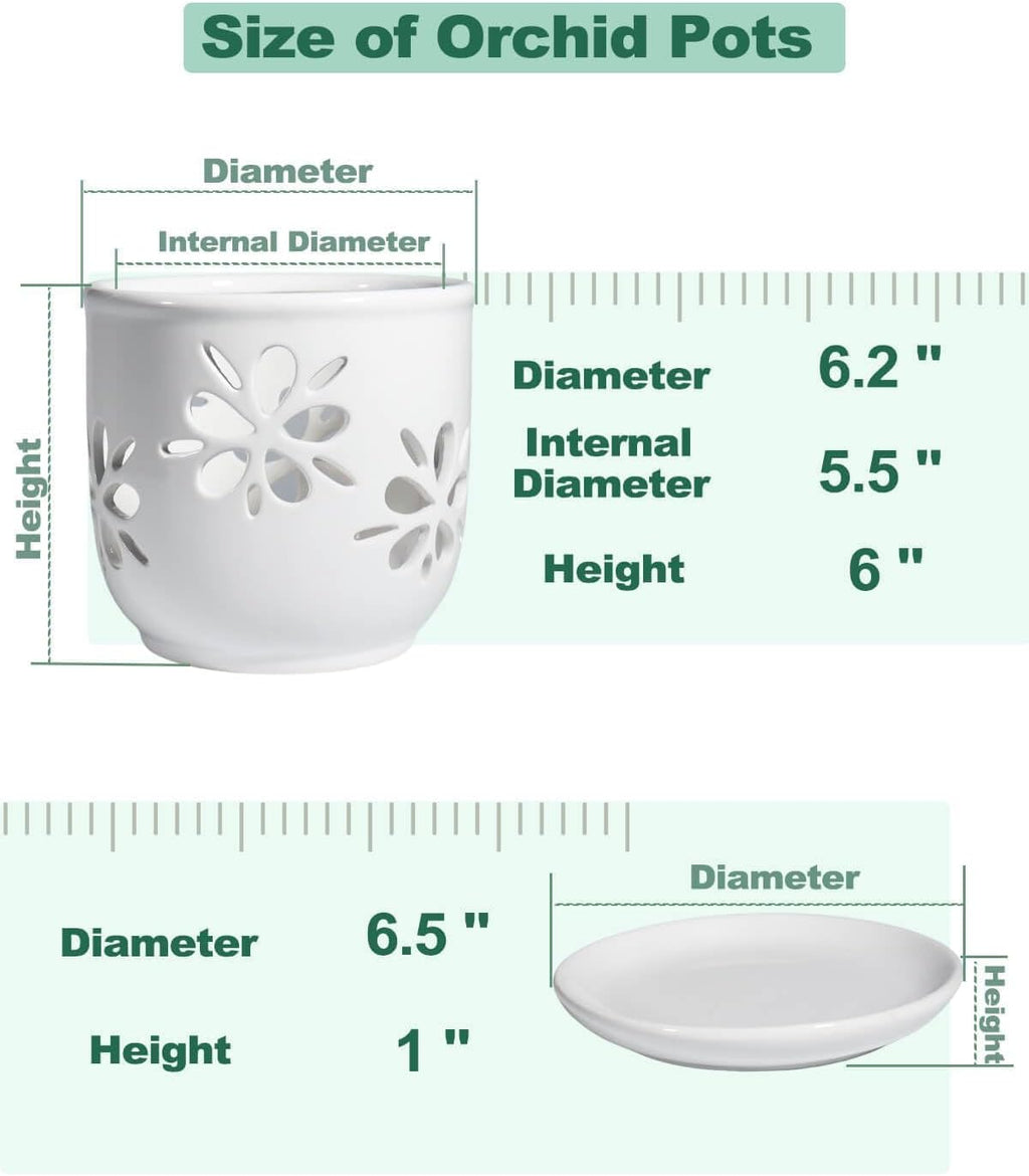1 Pack 6 Inch White Ceramic Orchid Pot with Holes and Saucer | White Ceramic Planter for Orchid Repotting, Flower Pot