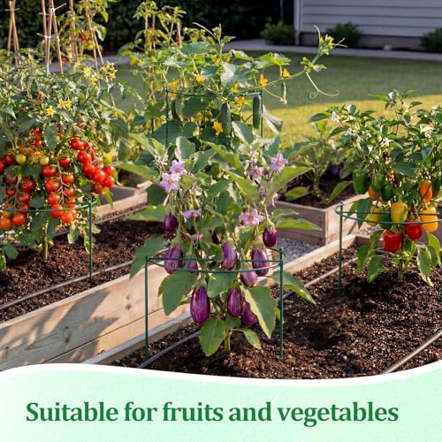 Novabright 2 Pcs 24" H x 20" D Large Peony Cage and Support Grow Through Plant Supports Round Garden Flower Stake Plants Ring Hoop for Outdoor Floral Tomato Vegetable Improve Planting Success Rate