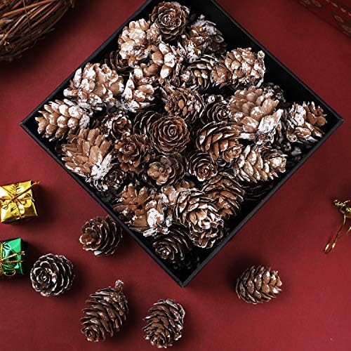 Cooraby 85 Pieces Micro-mini Snow Pine Cones Christmas Snow Pine Cones Ornaments for Home Decoration, Fall and Christmas Crafts