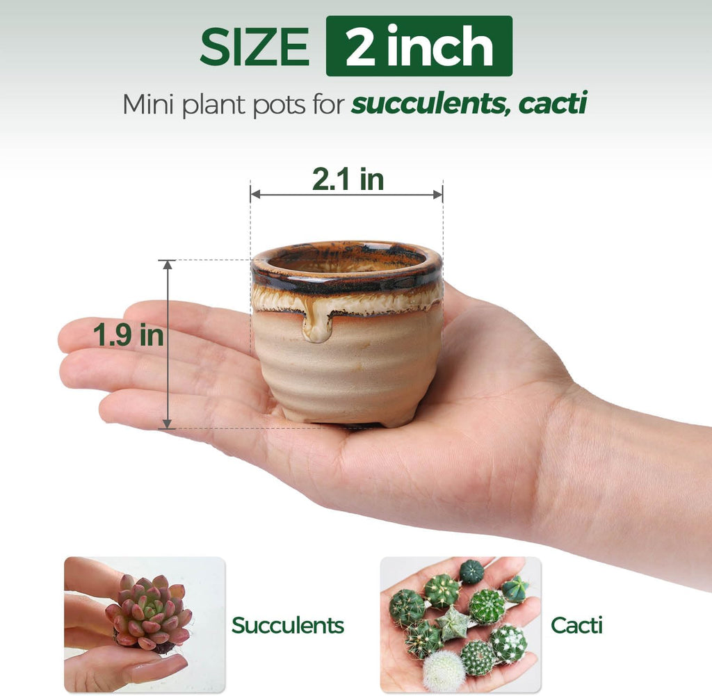 T4U Small Ceramic Succulent Pots with Drainage - Set of 12, Mini Pots for Plants, Home and Office Decor, Plant Lover