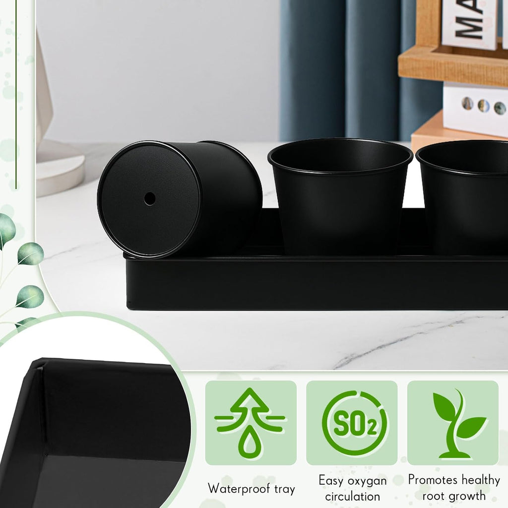FoldTier 2 Sets Indoor Herb Garden Planter Kit with 10 Metal Pots, Black | Metal Pots with Drainage Holes, Plant Labels