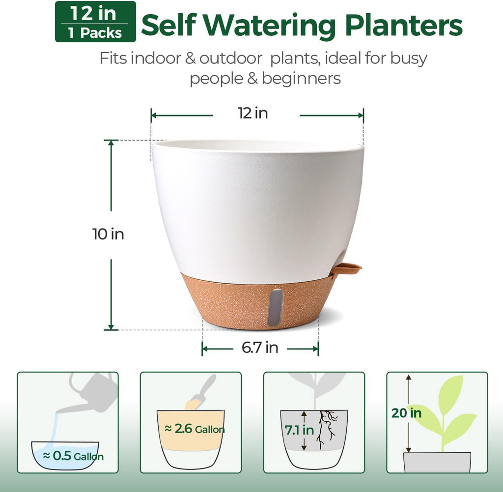 T4U Self Watering Pot for Indoor Plants, 12 Inch, Water Indicator, White | Visible water level window, Monstera and