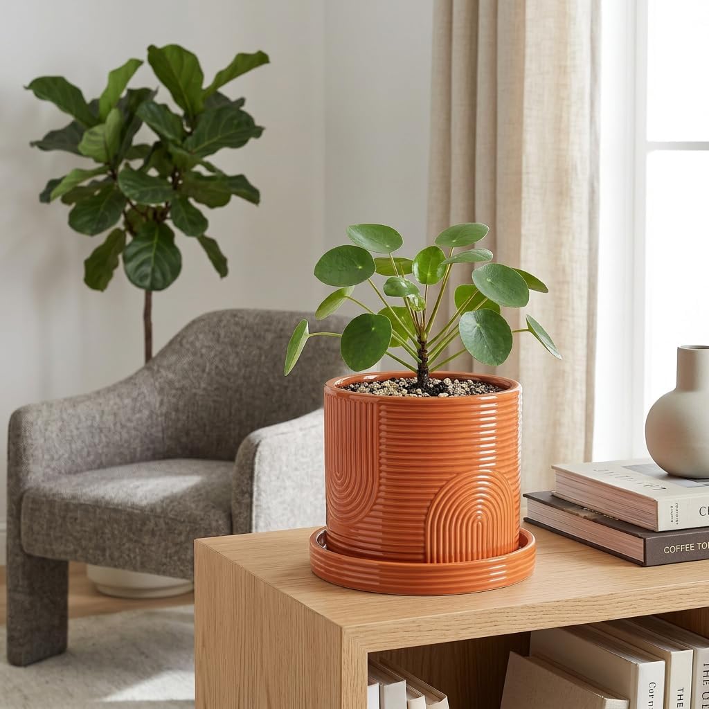 6 Inch Ceramic Plant Pot with Drainage Hole & Tray – Terracotta | Complete Planting Kit: Drainage Hole, Matching Tray &