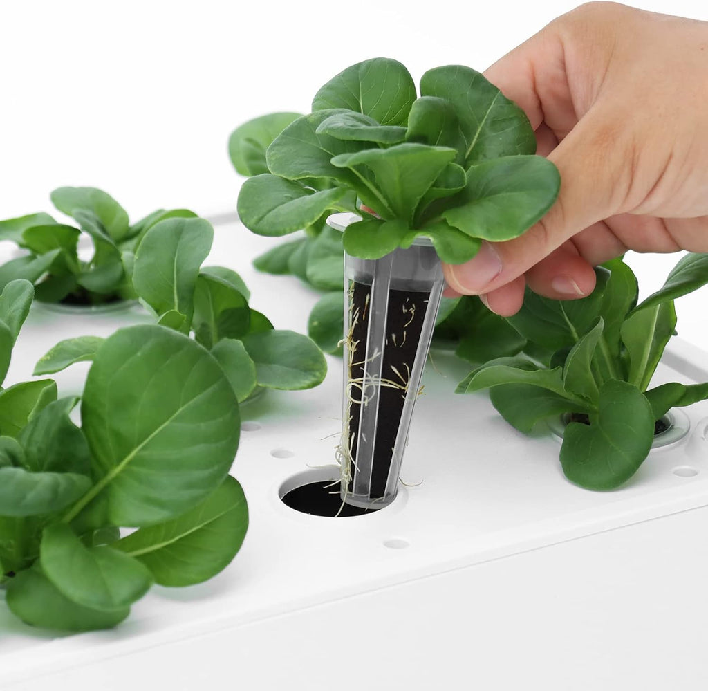 iDOO Hydroponics Growing System Kit with 60pcs Sponges