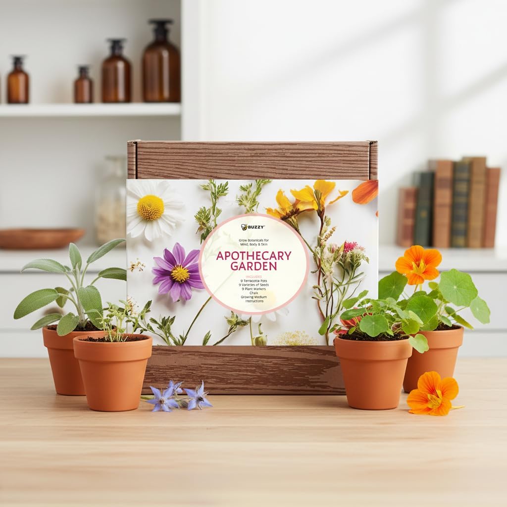 Buzzy Seeds Apothecary Garden Wellness Kit - Mini Terracotta Pot Grow Set - Complete Indoor/Outdoor Gardening Kit with