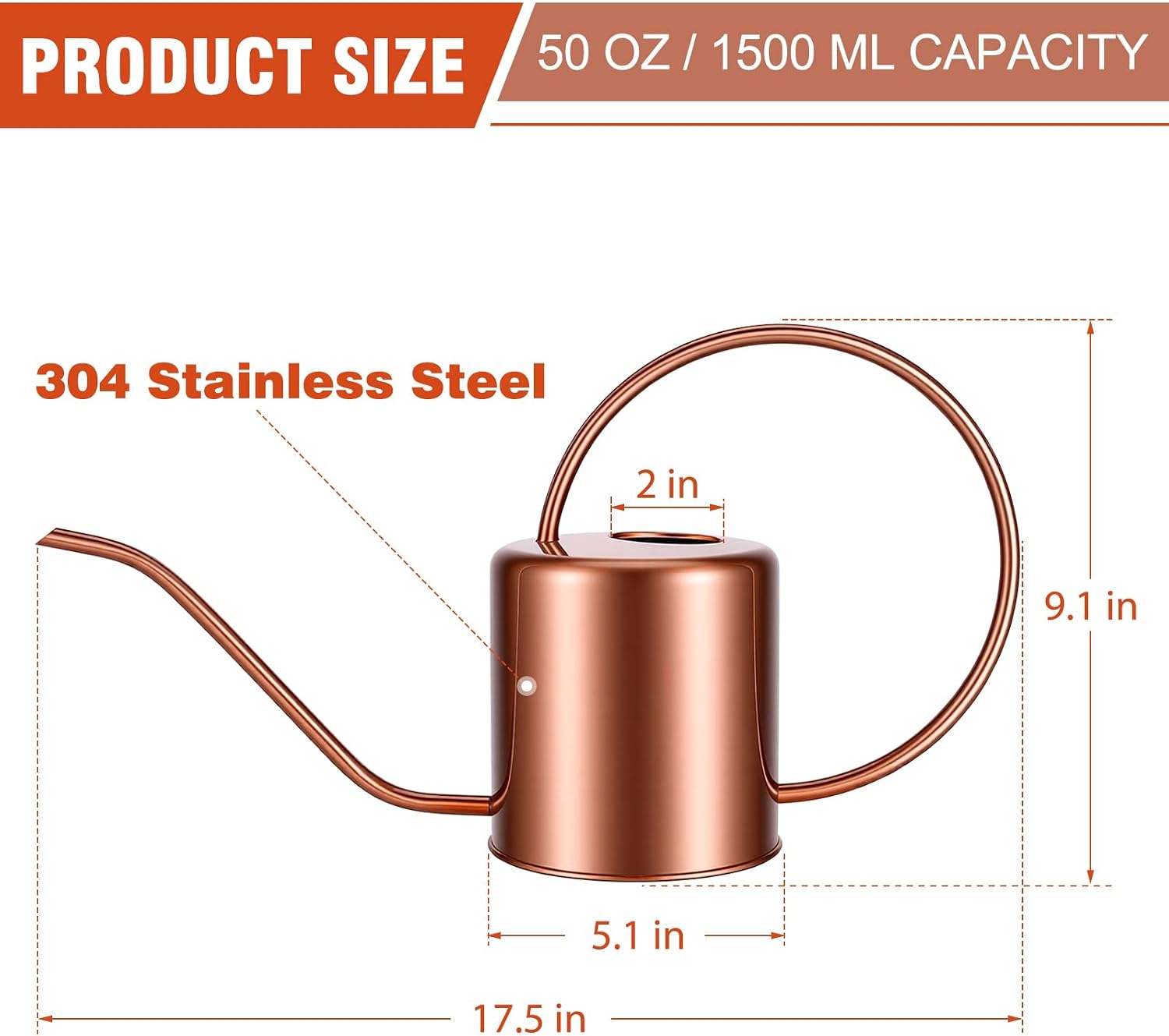 Plant Watering Can, 50 oz / 1500 ml Stainless Steel Metal - Modern Decorative with Long Spout for Indoor Potted Plants