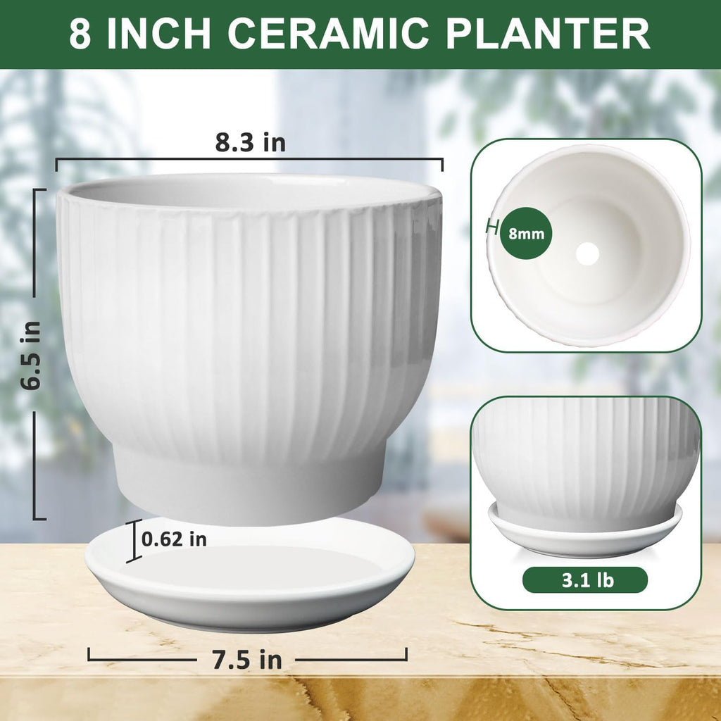 8 Inch Plant Pot,Ceramic Planter with Drainage and Saucer,Ceramic Pots for Plants,Indoor Plant pots,Ceramic Flower