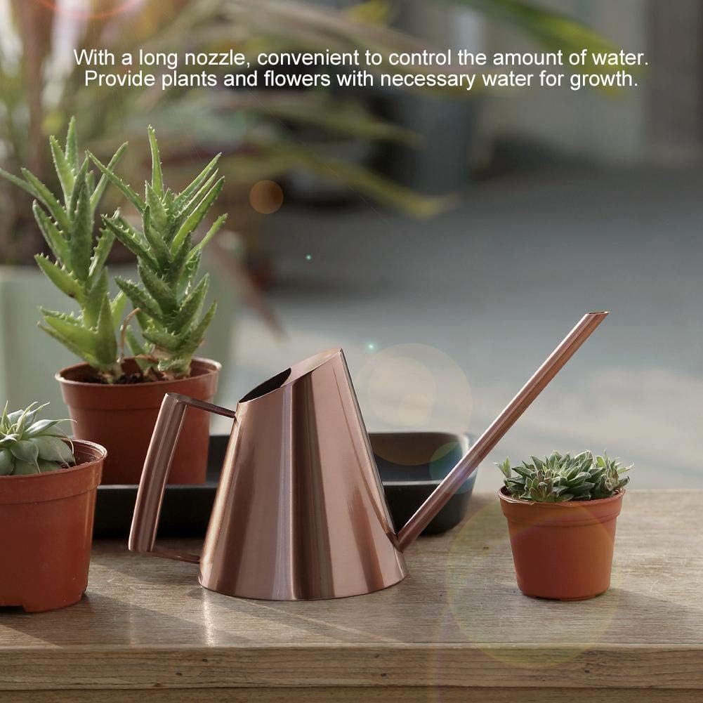 Fdit Watering Can Solid Stainless Steel Pot with Long Spout for Bonsai Indoors Plants Garden Green Plant Flower