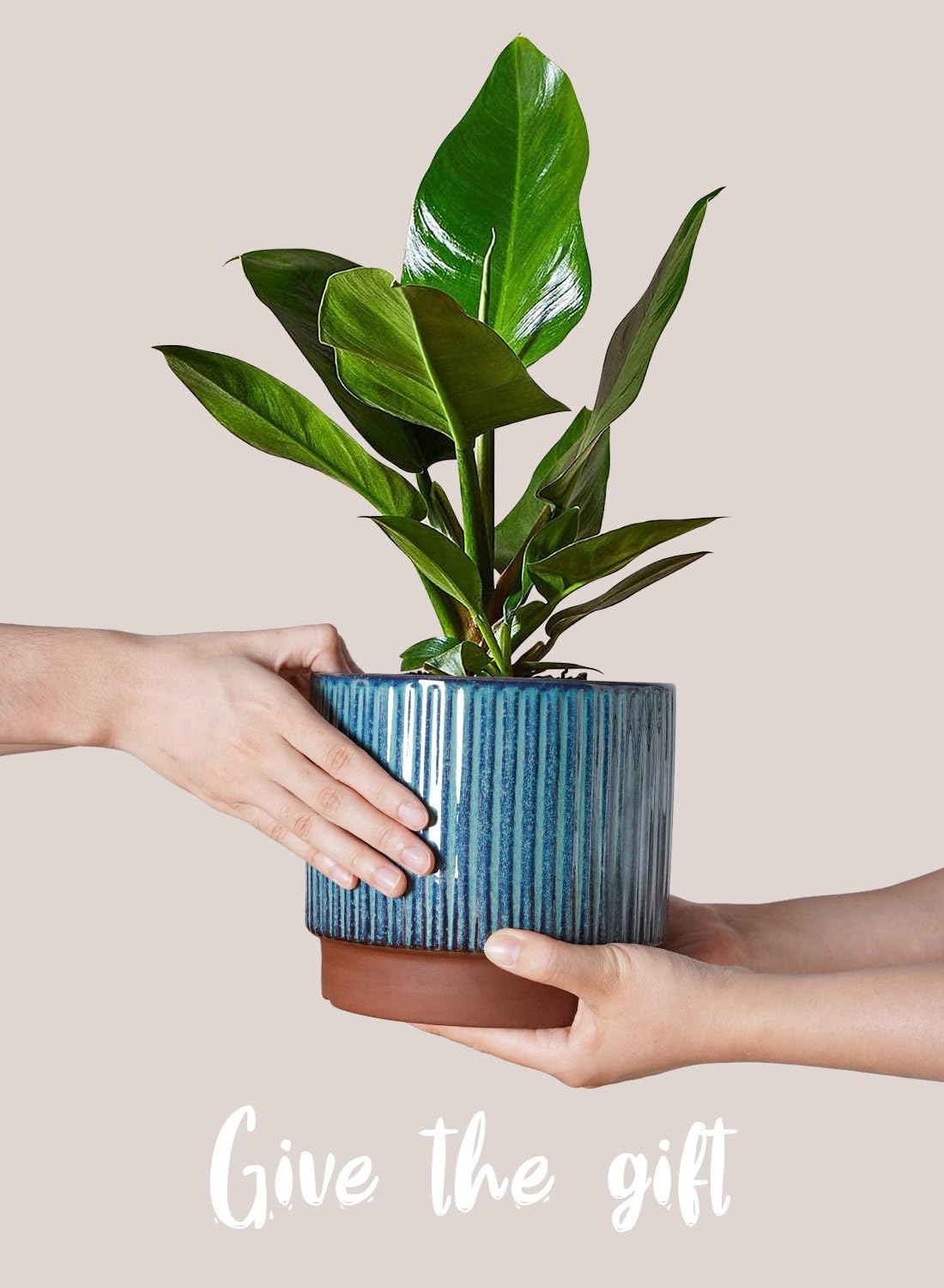 LE TAUCI Ceramic Plant Pots with Drainage Holes, Set of 3, 8+6.7+5.5 Inch Stripe Garden Planter Pots for Outdoor Indoor